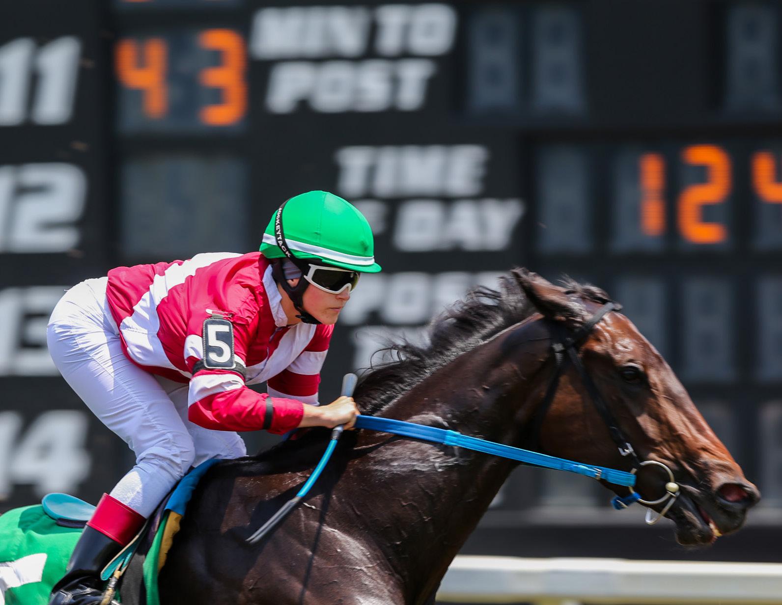Best way to experience Tampa Derby (Plan ahead for ultimate fun at this popular horse race)