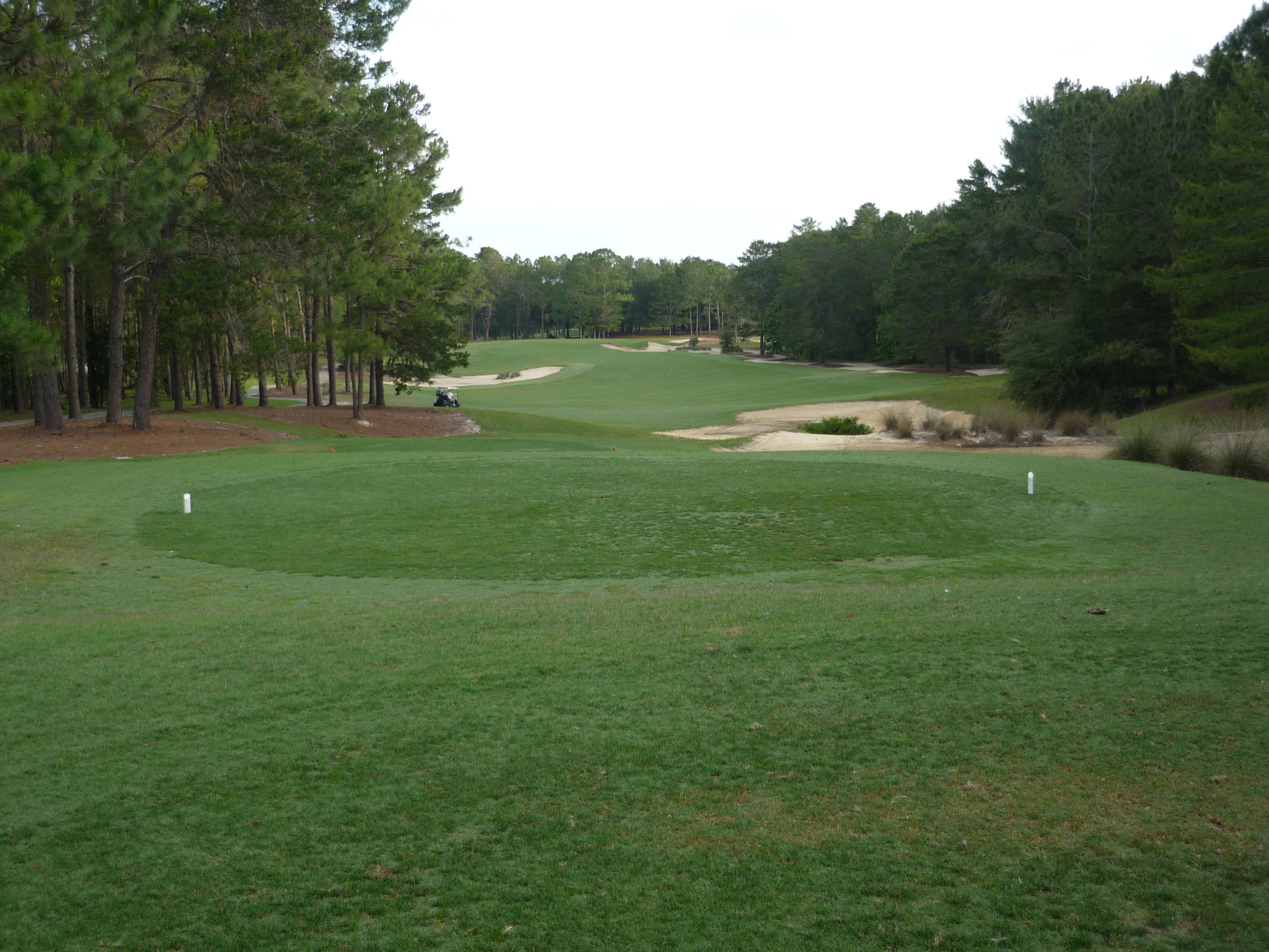 World Woods Golf Club Pine Barrens: Tips Before You Play