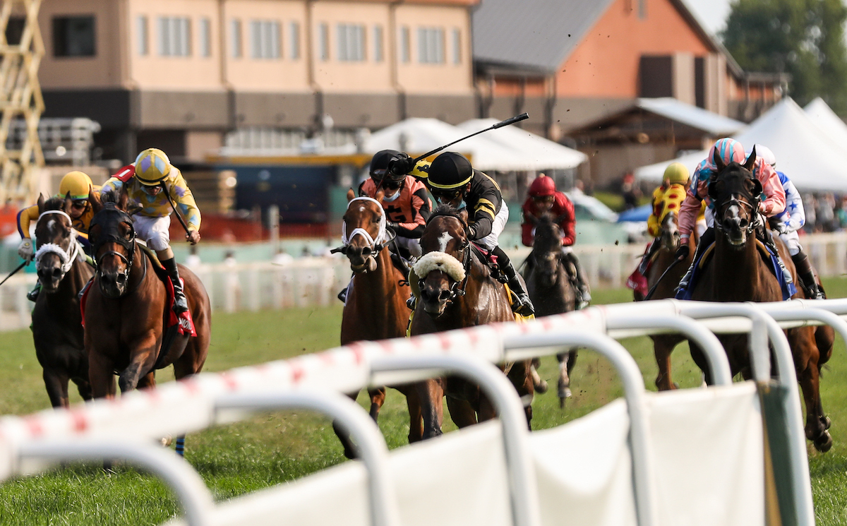 What is KY Downs really about? It is Kentuckys unique and famous horse racing venue.