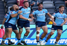 Which magazine rugby offers the best insights? These selected editions bring you exclusive rugby analysis.