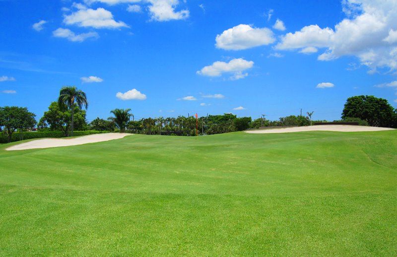 What is Kings Point Par 3 like? Discover why many golfers enjoy this course.