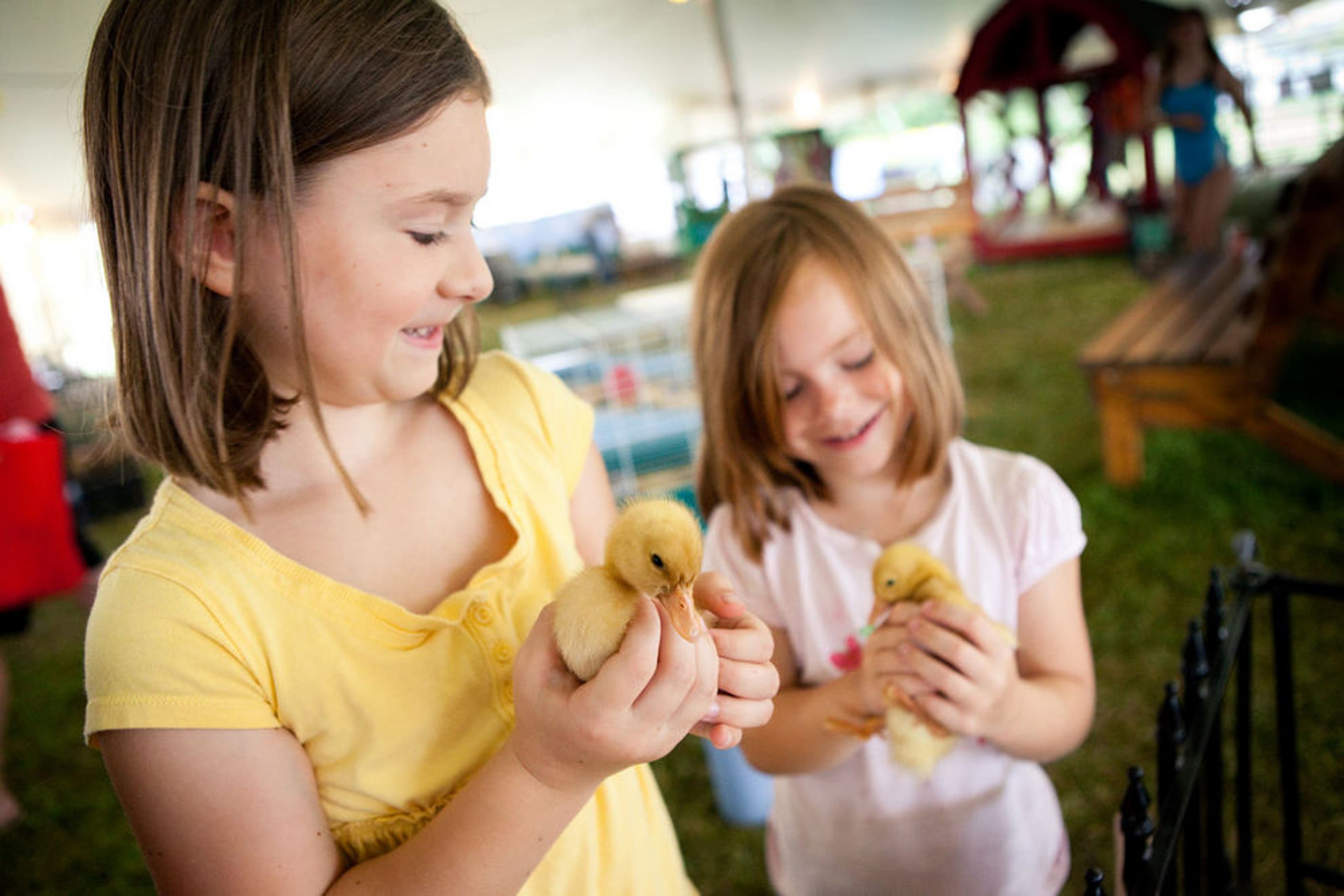 Why should you check out the Fair in the Square? Top reasons to join the fun this year.