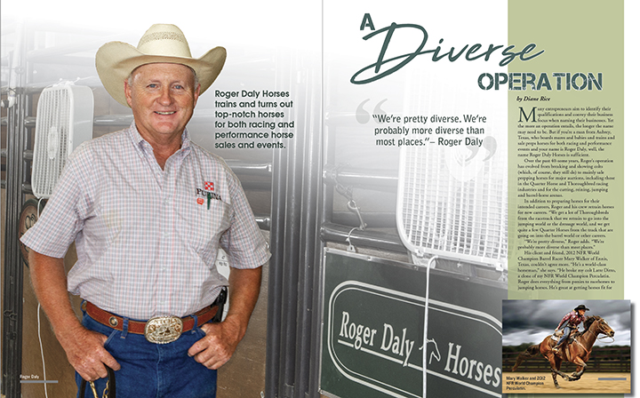 What makes Roger Daly horses stand out? Discover the unique training methods for Roger Daly horses.
