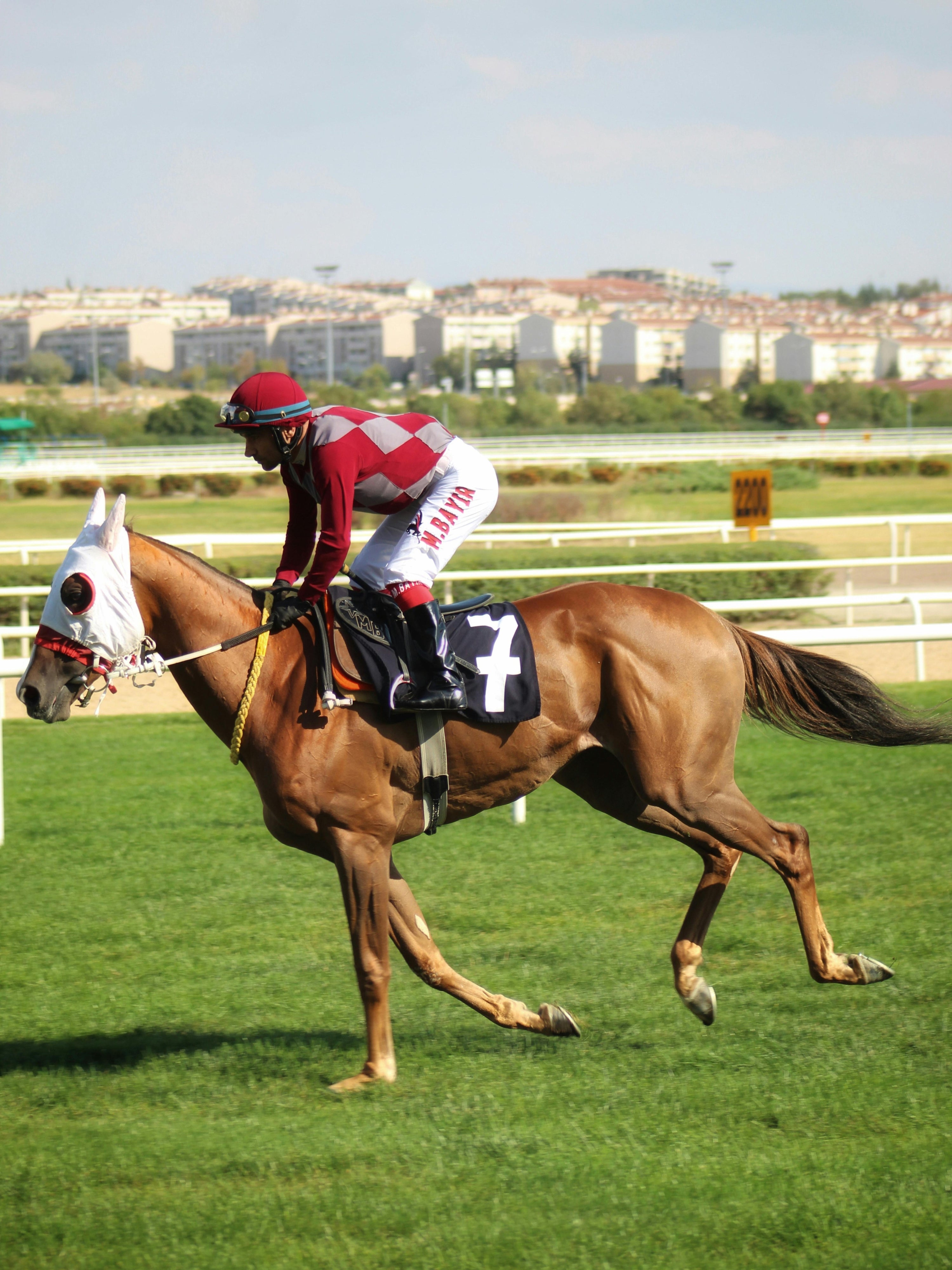 Jockey height limits: What you need to know?
