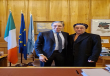 Getting to know Simon Farrell (Key facts and information summarized easily)