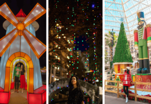 Looking for holiday bulls information? Get all you need for a fantastic getaway experience!