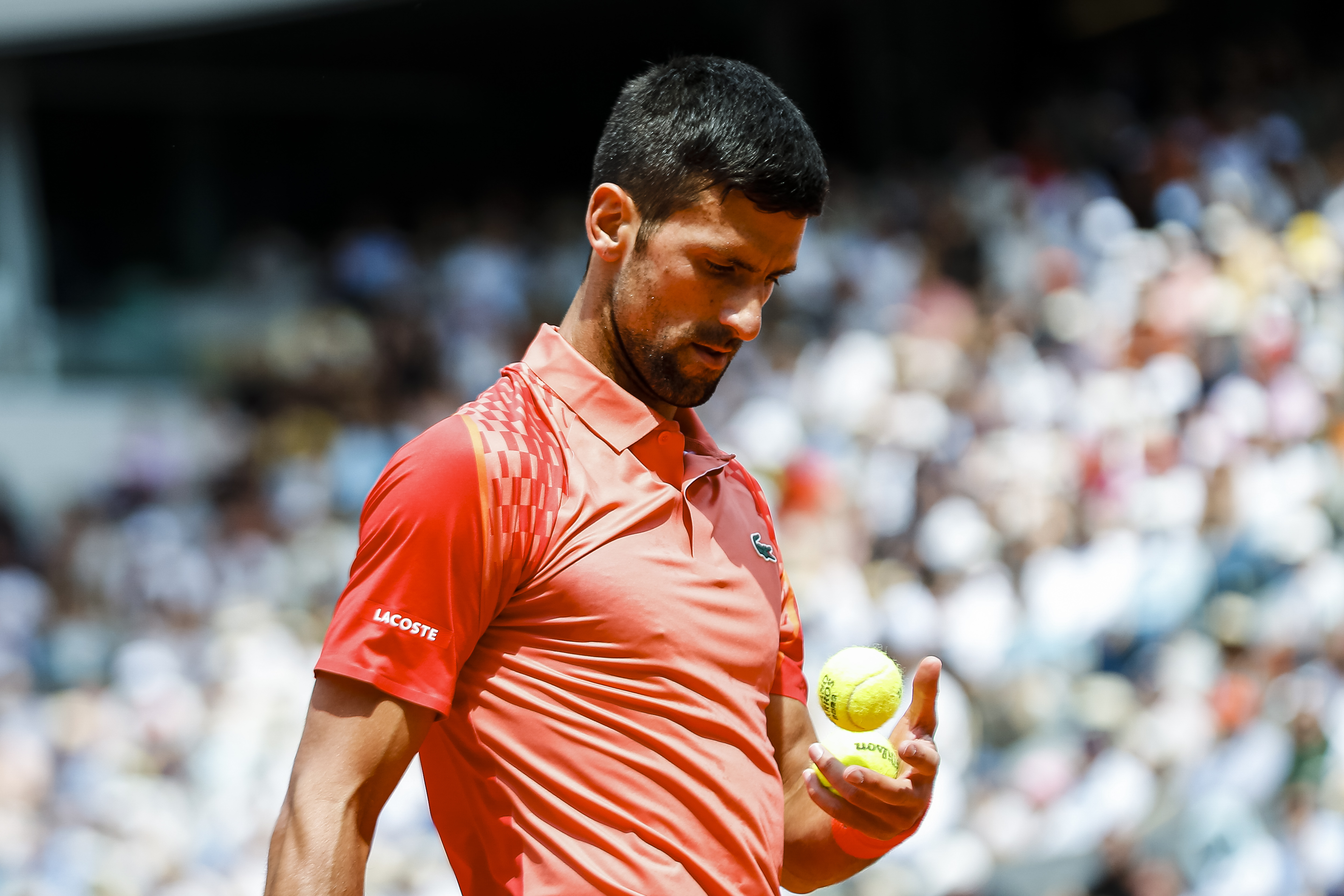 French Open Odds: Find the Best Bets and Predictions