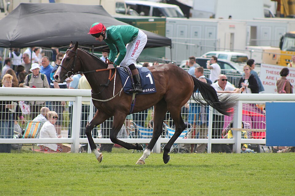 Adam Kirbys Net Worth: How Rich Is the Jockey?