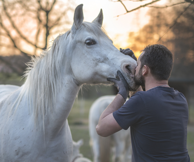 Understanding women and horse communication better (Simple tips to connect with these amazing animals).