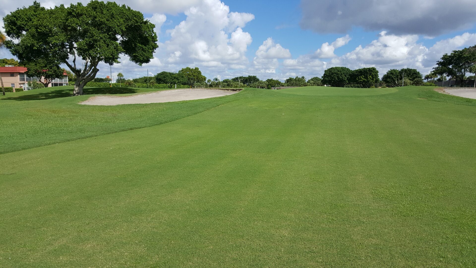 What is Kings Point Par 3 like? Discover why many golfers enjoy this course.