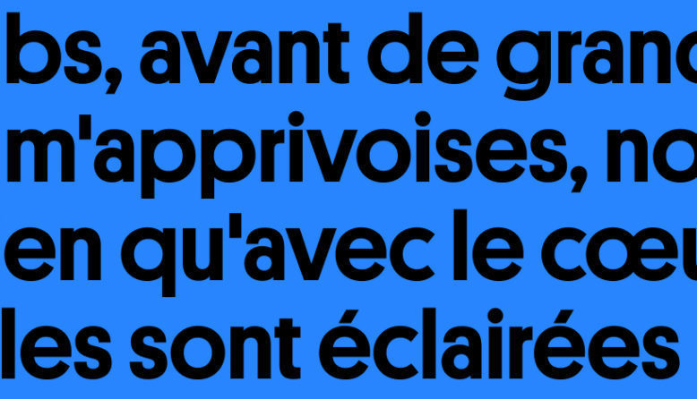 How can beginners learn to win in french? (Quick translations and how to use them well)