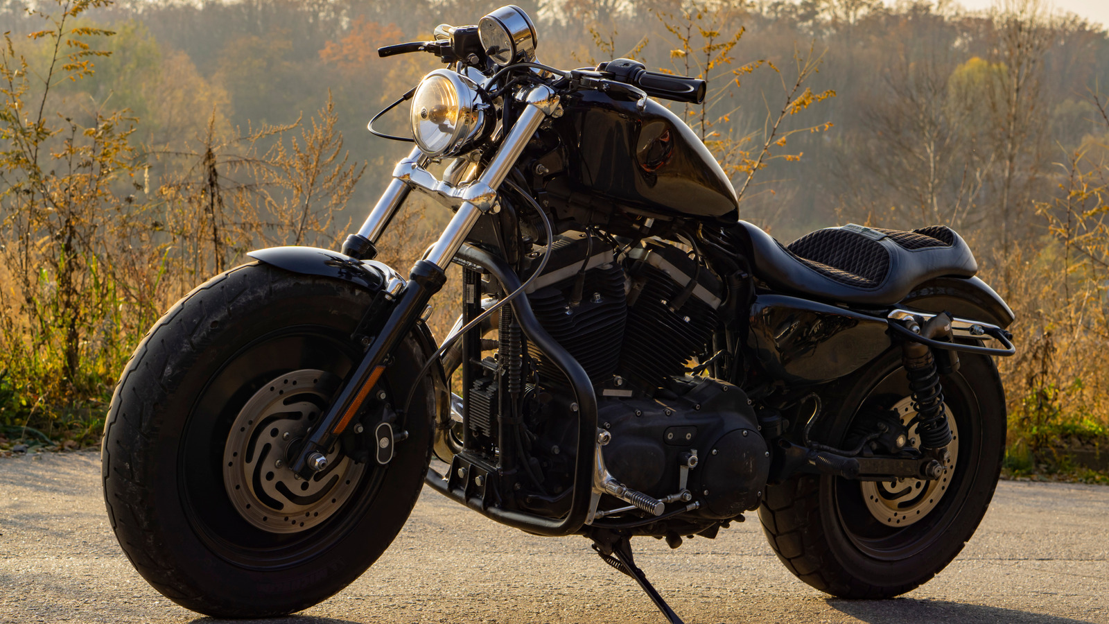 What are the top rated harley sportster pics online? See the most liked and shared images by true fans!
