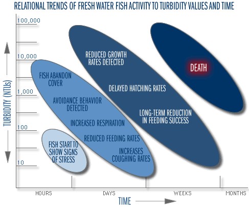 Got a low lake score? (Learn what it means for your water and how we can improve it)