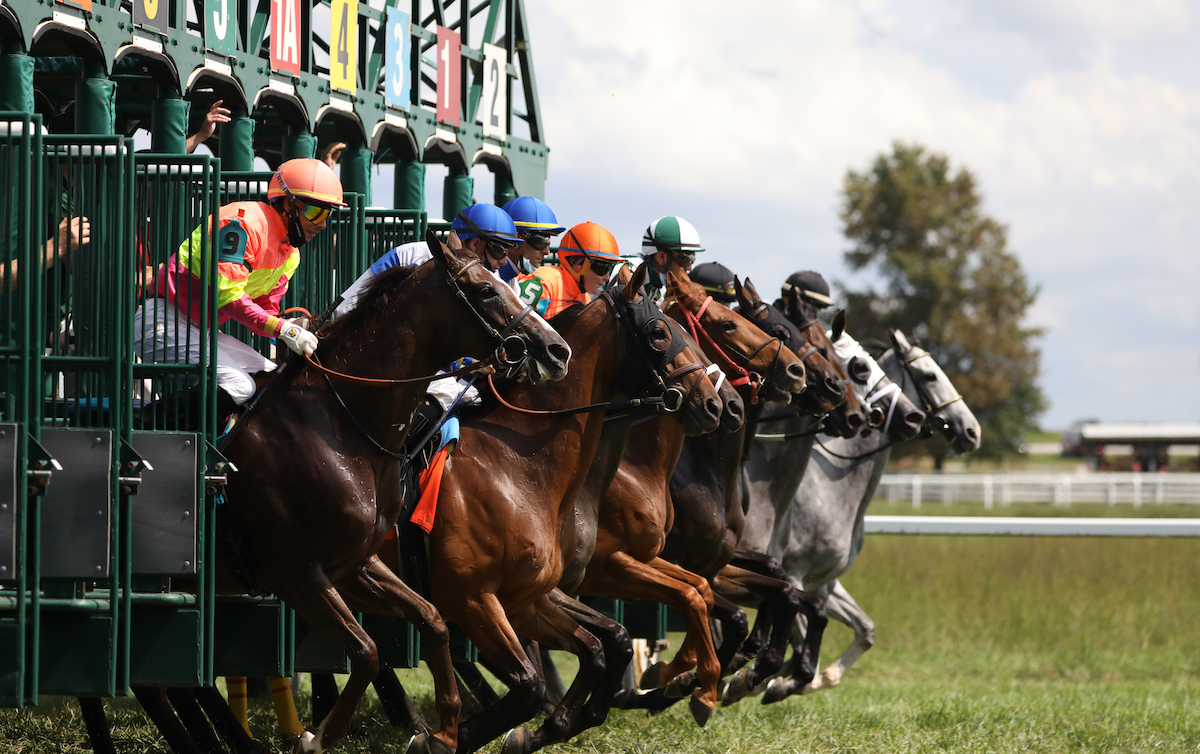What is KY Downs really about? It is Kentuckys unique and famous horse racing venue.