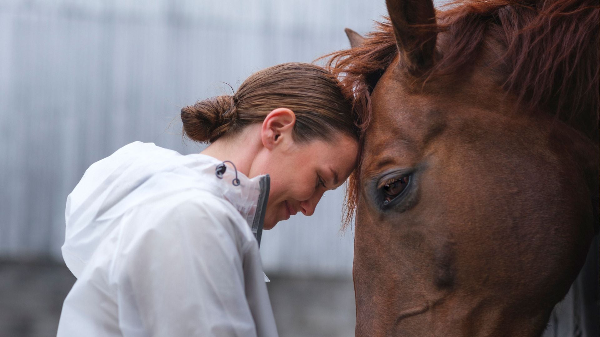 How Do Women and Horse Improve Well-being? Discover the Amazing Benefits for Mind and Body!