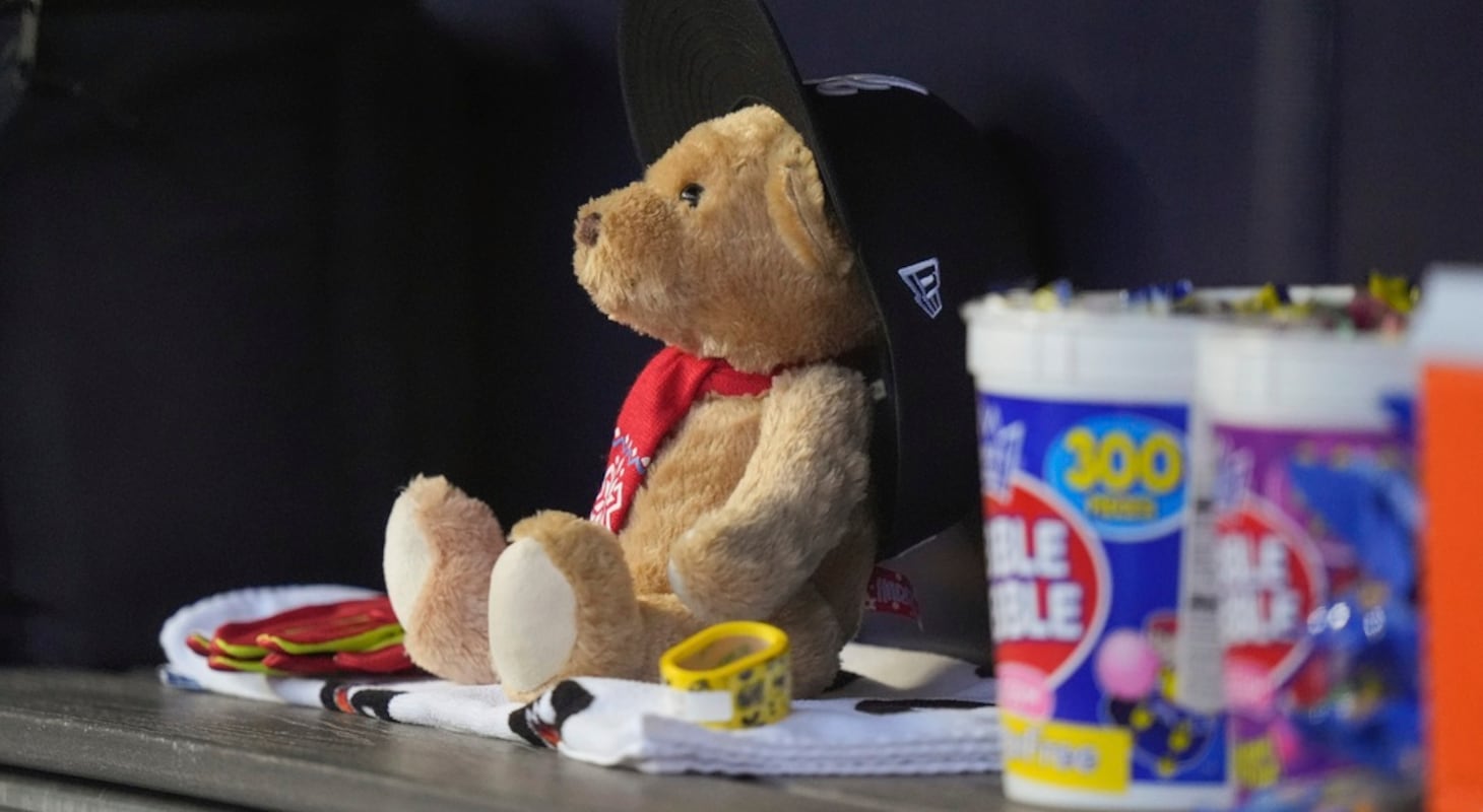 Is the snit bear worth the hype? (Read honest reviews before you decide to get a snit bear for yourself)