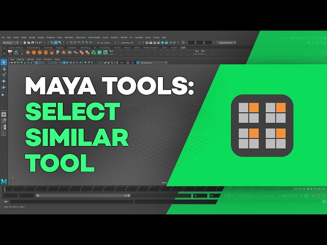 Where to Find the Best lucia maya Tools? Compare These Options!