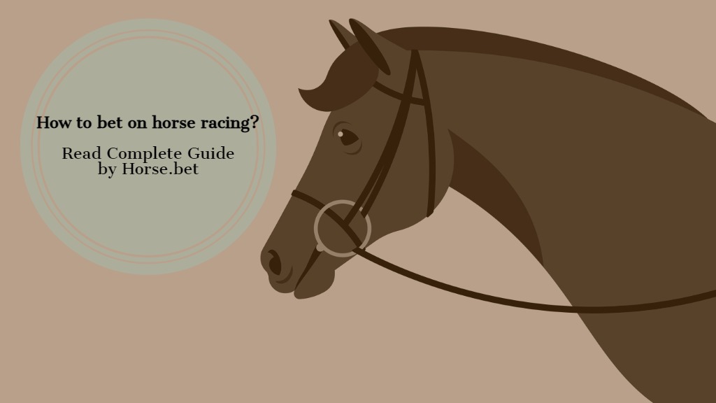 Horse Racing Fans Betting Strategies Easy Guide Win Fast!
