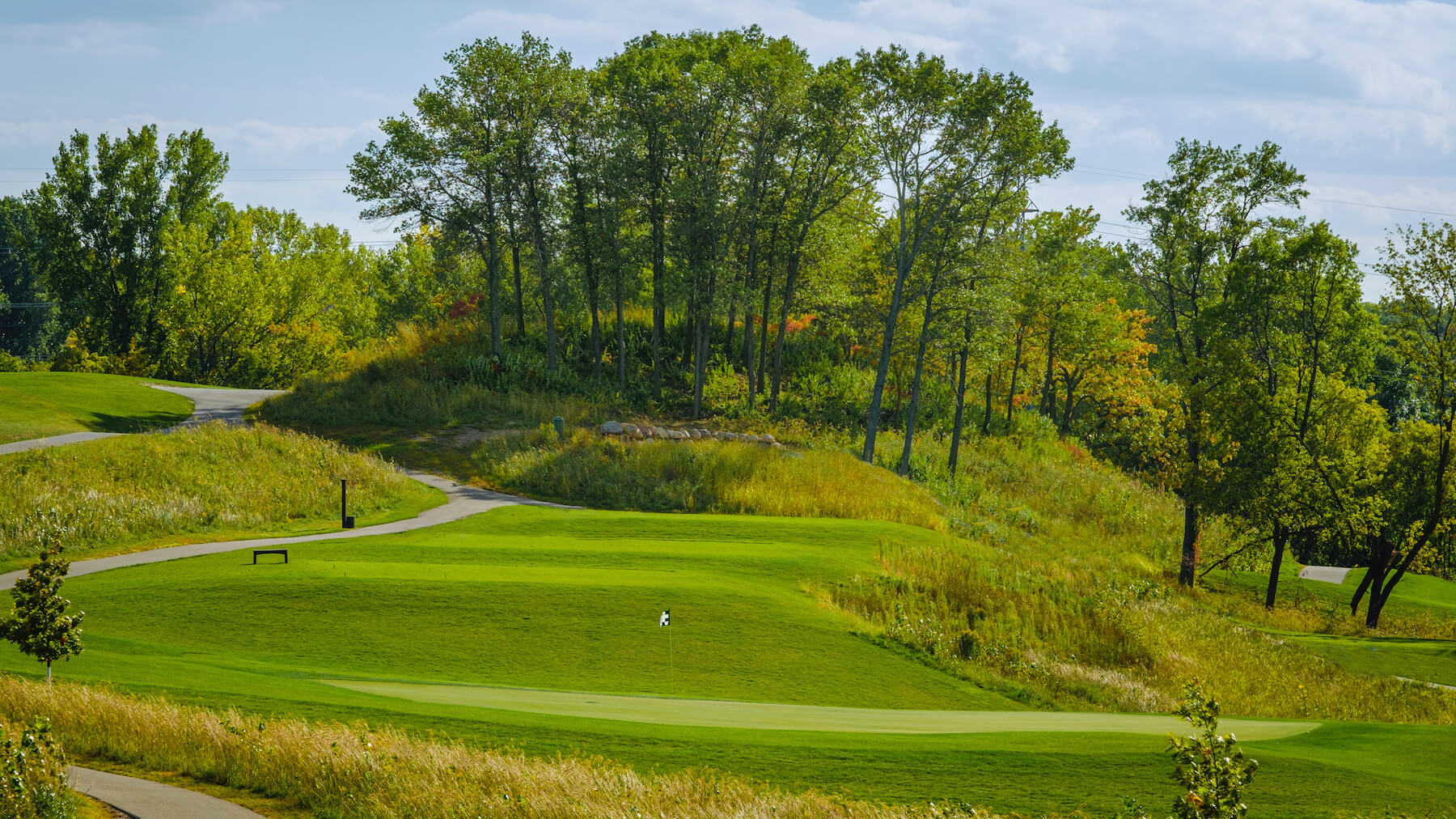 Why is Braemar Golf Course Edina so popular? Learn what makes this Edina course a local favorite.