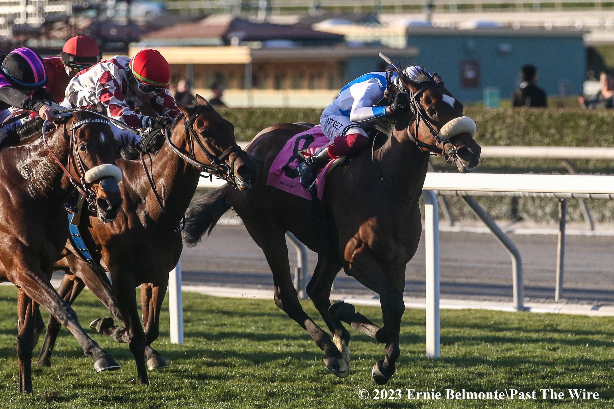 Horse Racing Fans Betting Strategies Easy Guide Win Fast!