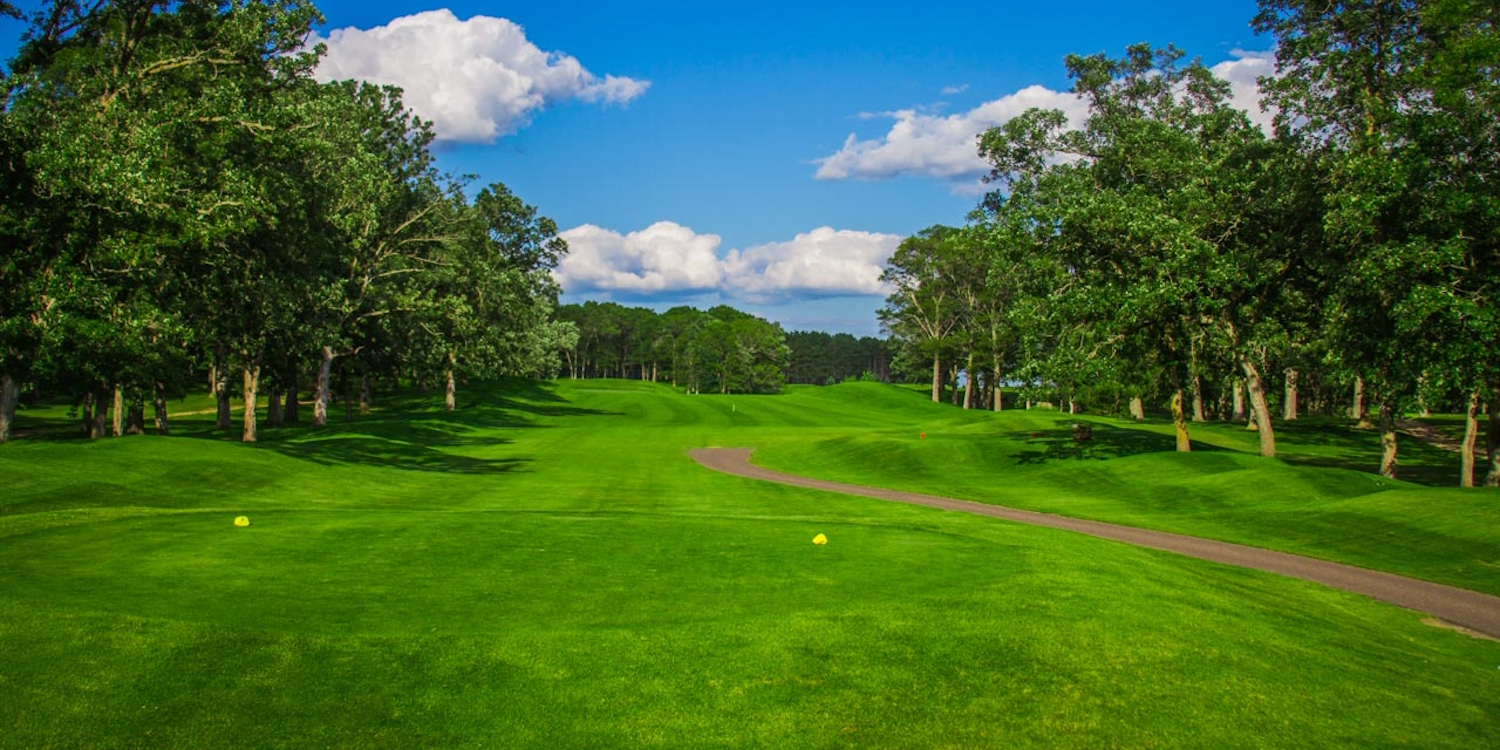 Is eagles landing golf course mn a good course? Discover why its a premier Minnesota golf experience!