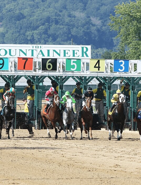 Looking for a free live stream mountaineer park? Check these options for horse racing.