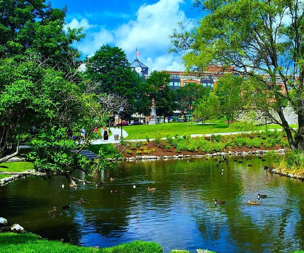Town of Saratoga things to do (What are the must see attractions and fun local spots?)