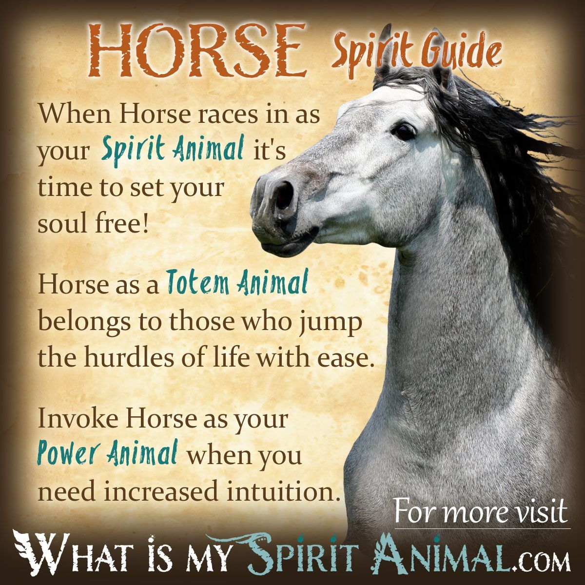 What do horse in dream symbolize? Uncover the hidden meaning.