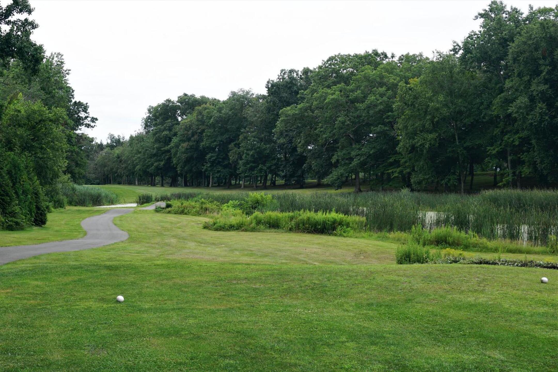 Why choose black birch golf course for your game? Discover its beautiful layout and challenging holes!