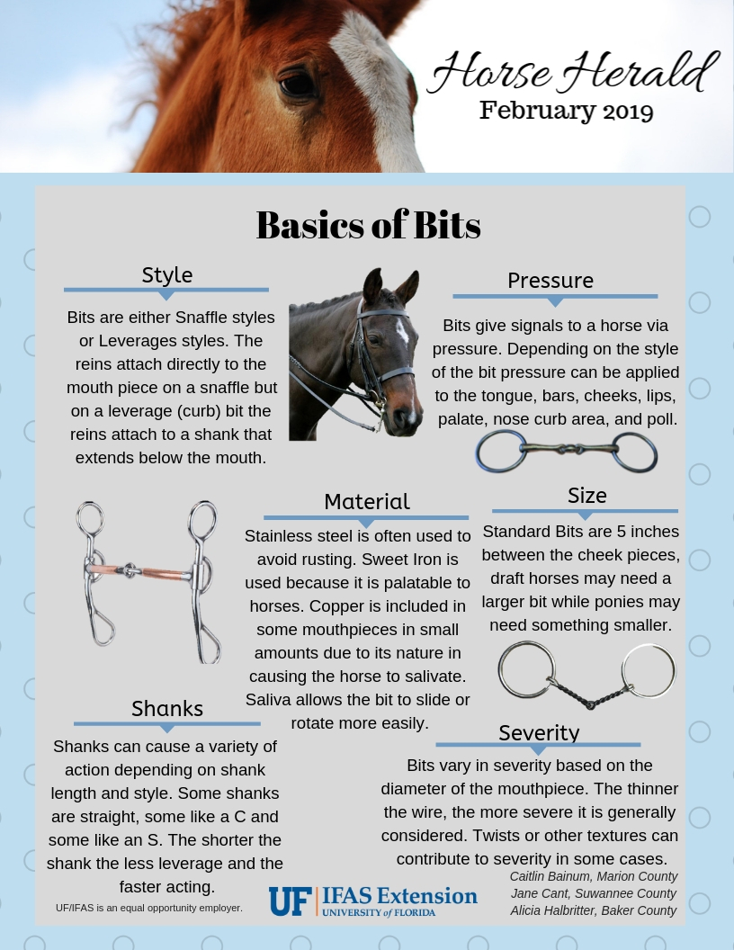 When should you use horse fist? Explore practical applications and real scenarios for this skill.