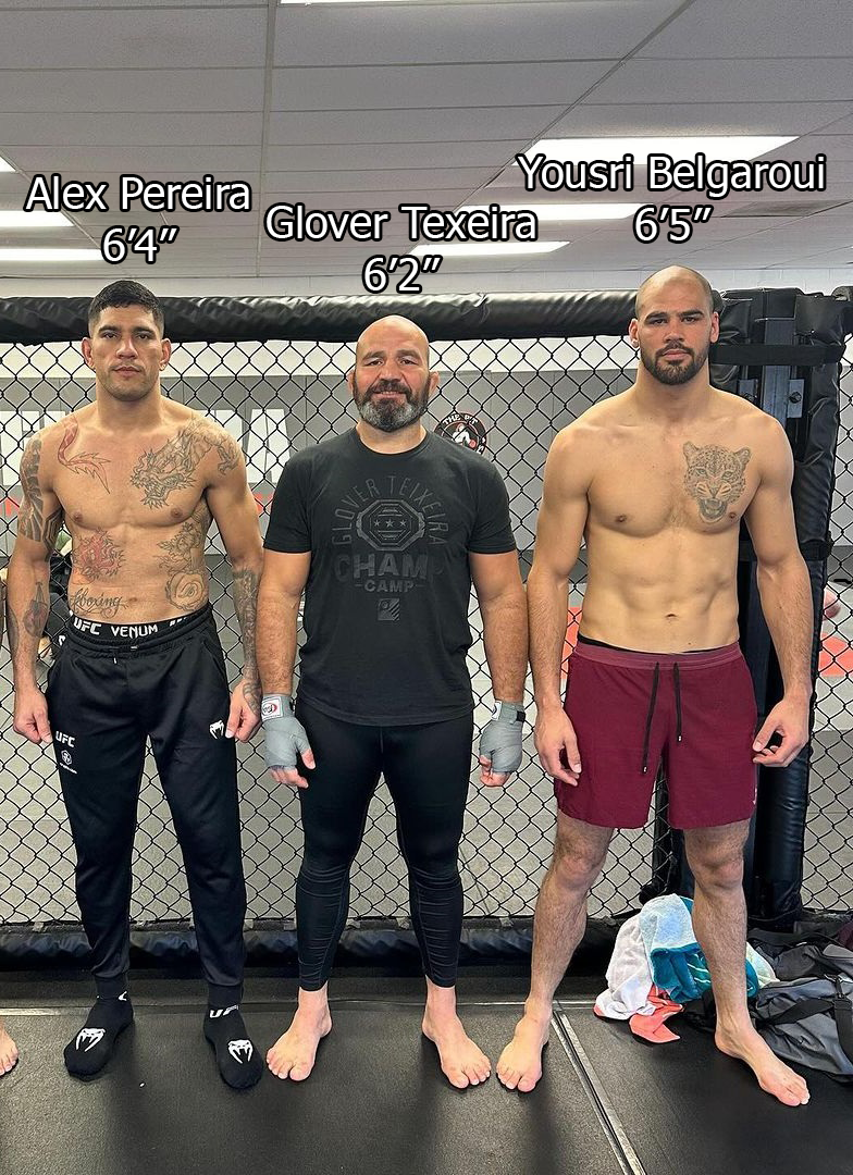 What is Alex Pereiras Height in CM? Find Out Here!