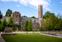 Paris Cowan Hall who is she? (Learn all about this interesting person and her amazing work)