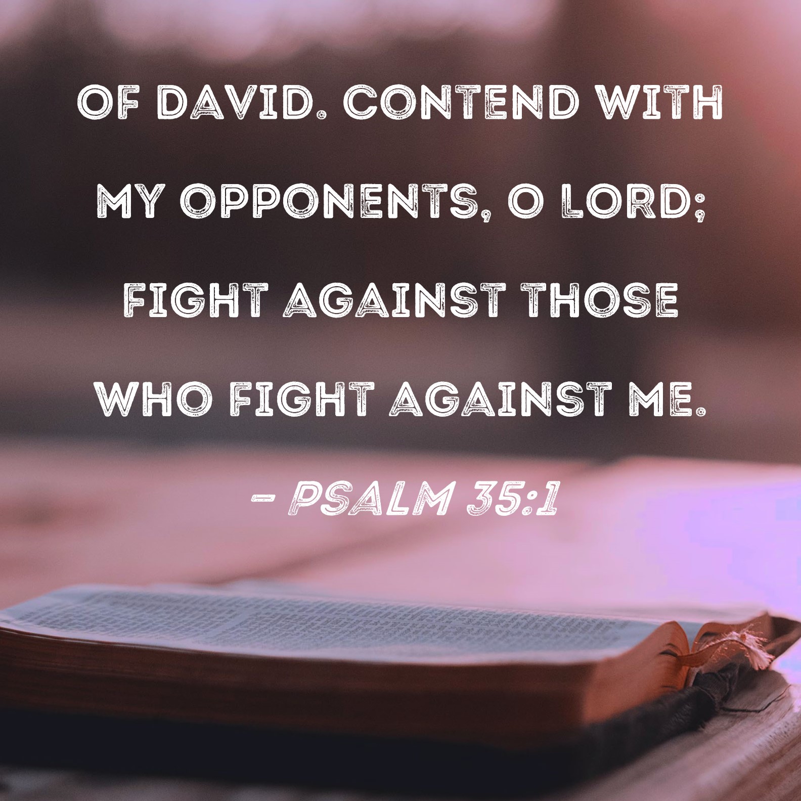 I will fight against those that fight against me, what to do?
