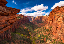 Nevers Park what makes it special? (explore the best features of this popular park)