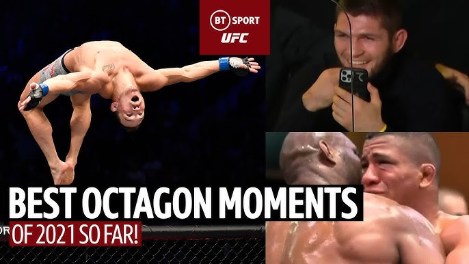 Find All UFC 3 Kings Fights? Watch Their Greatest Octagon Moments!