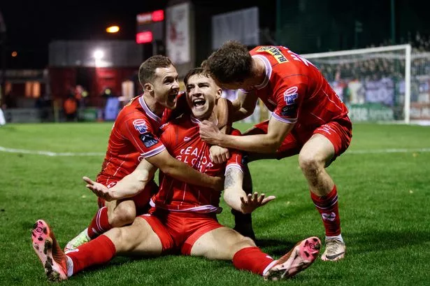Curious about how Shelbourne FC is doing? Check the official Shelbourne FC standings for all the latest details.