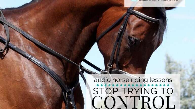 want to know how do you control a horse quick tips for success