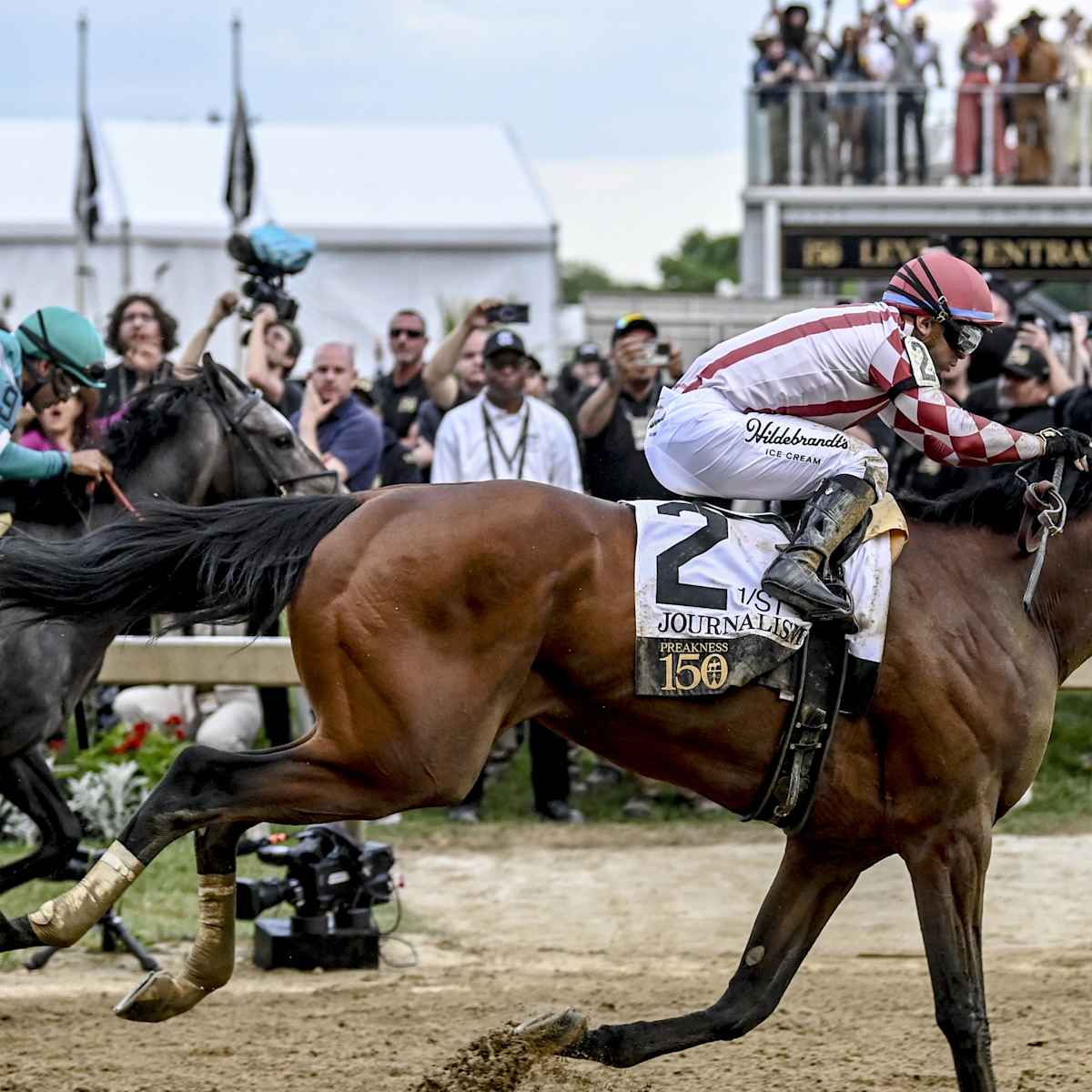 Past Preakness Winner Earnings: How Much Money They Made
