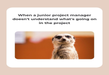 Scrum Memes How They Help Your Team Work Better Together