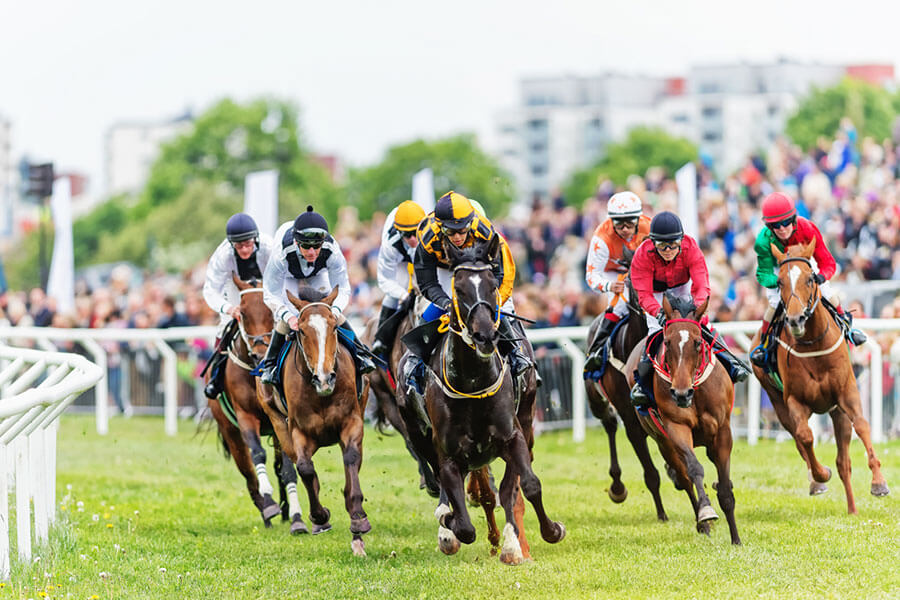 How big is the biggest horse race in the world really?