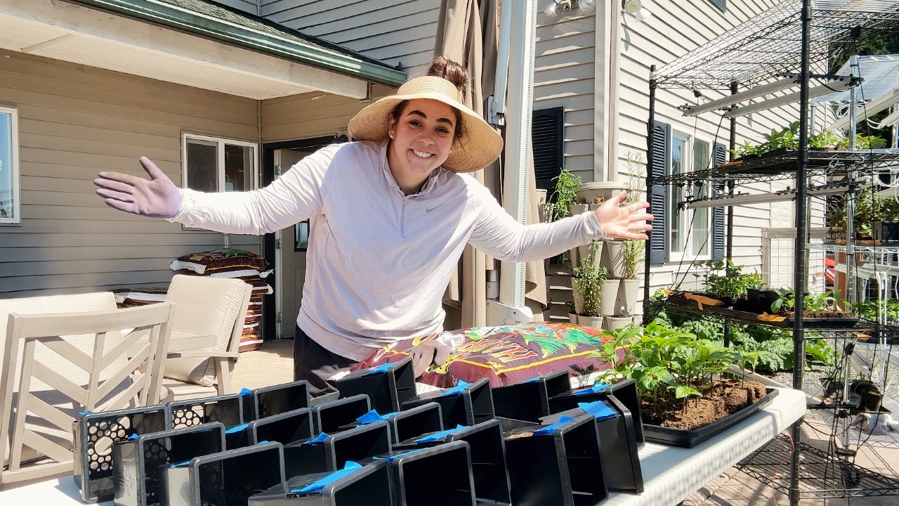 how to manage blackstone farm efficiently? (pro tips from real experts!)