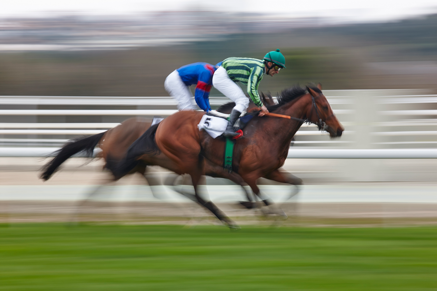 Portland OR horse racing how to enjoy? Find top spots and insider tips now.