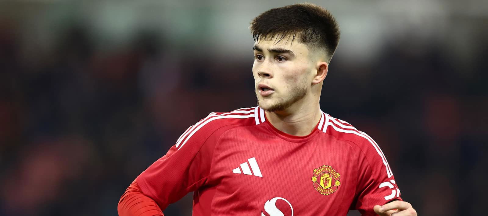 Harry Amass Transfer News Latest Rumors and Club Choices