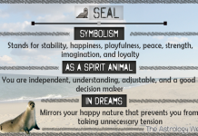 What Does It Mean When You Dream Lions? Easy Dream Symbol Guide!