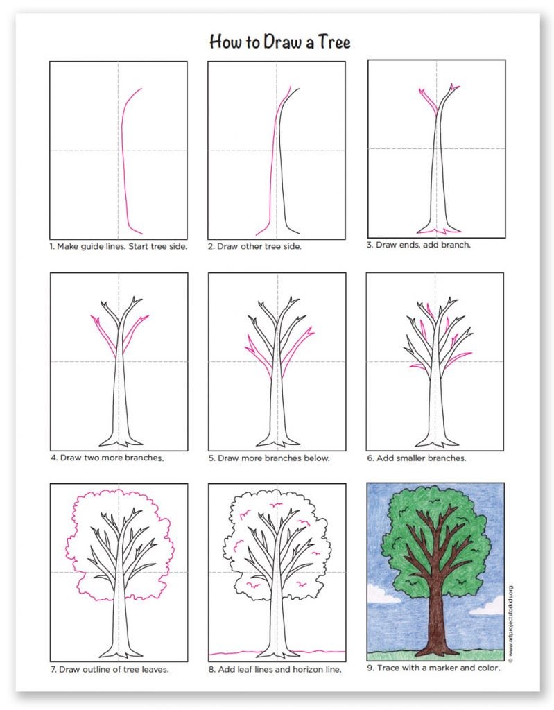 How to make a drawn tree? (Learn 5 simple steps for beginners)