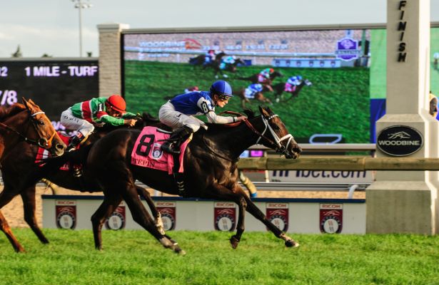 Check Woodbine Racing Results Now - Quick Guide to Winners & Payouts!