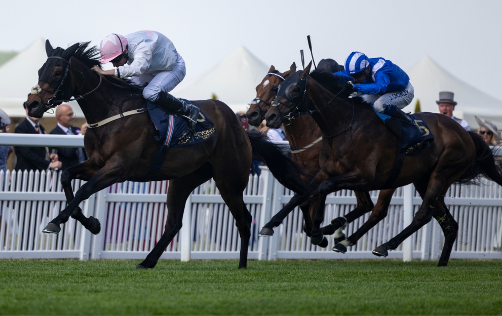 See Royal Ascot Race Results for Today Winners Times Full Report