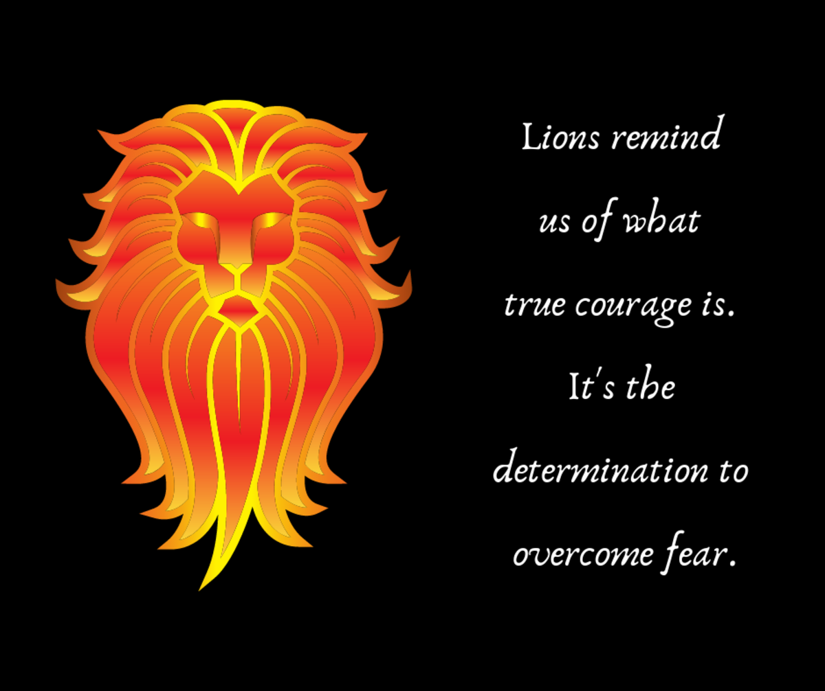 What Does It Mean When You Dream Lions? Easy Dream Symbol Guide!