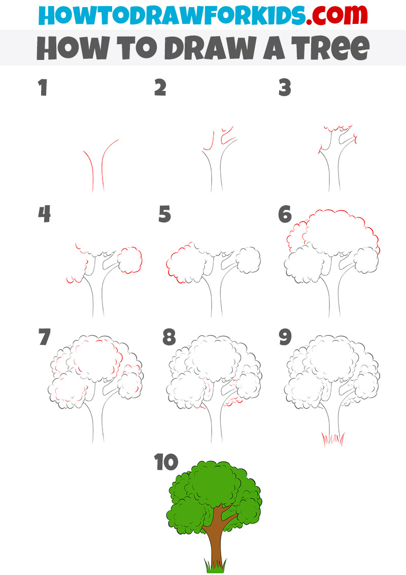 How to make a drawn tree? (Learn 5 simple steps for beginners)