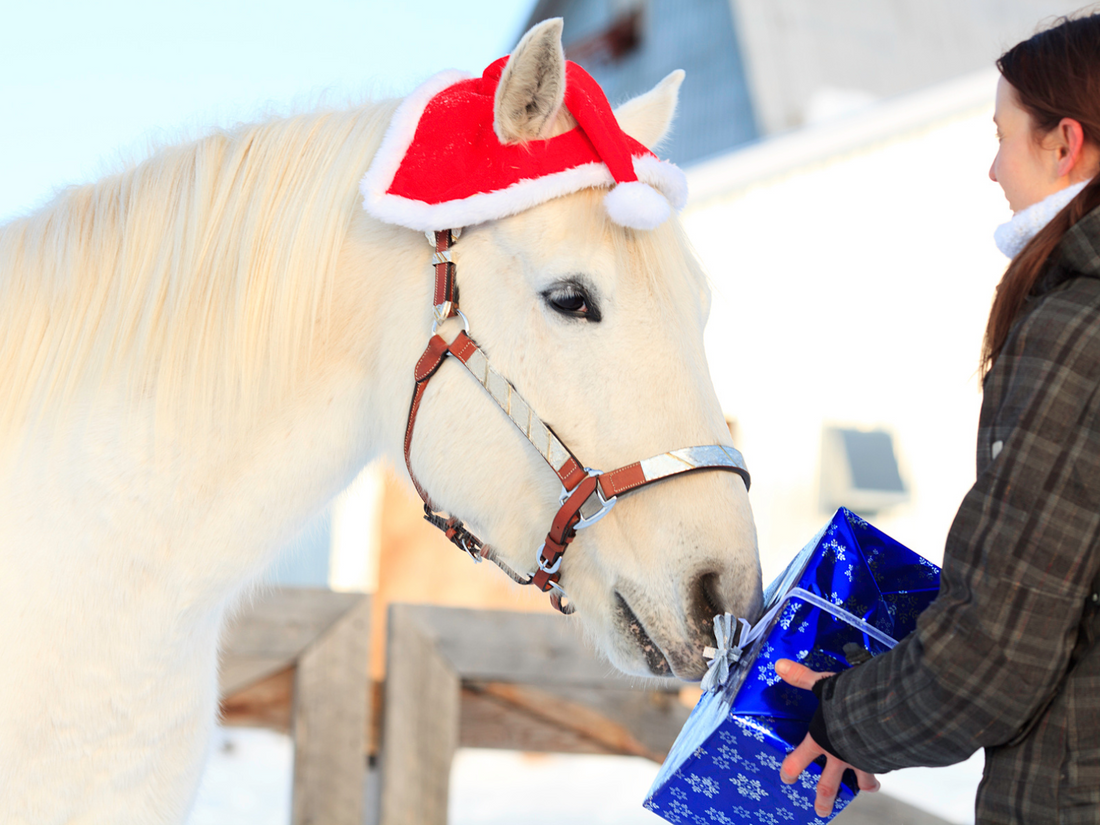 Christmas Horses Gifts Discover The Perfect Presents For Your Equine Friend